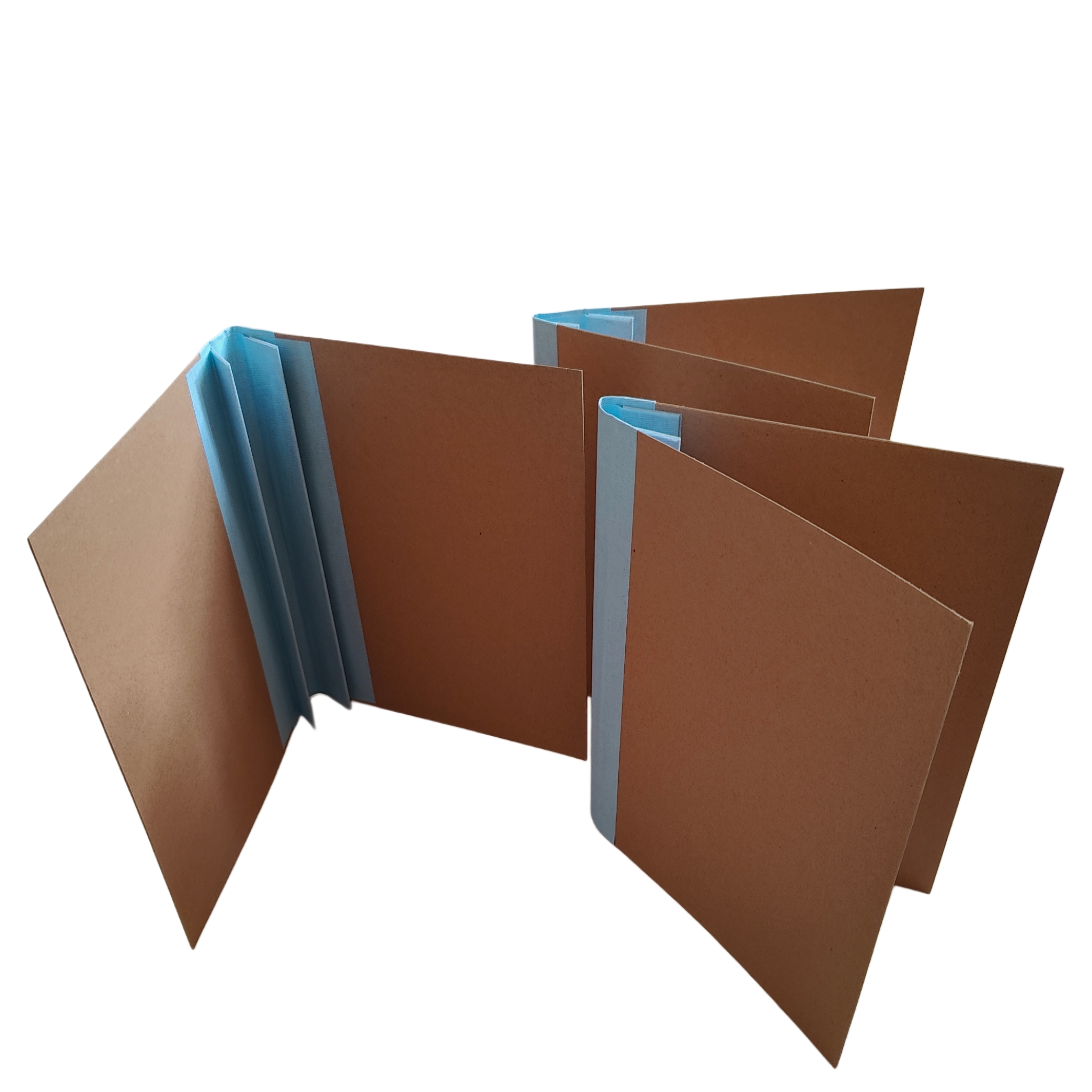 Архівна папка-листівка 320х230мм корінець коленкор 40 мм без титульної сторінки формат А4